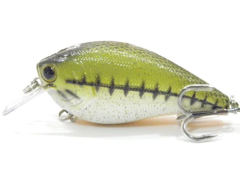 Product image 100